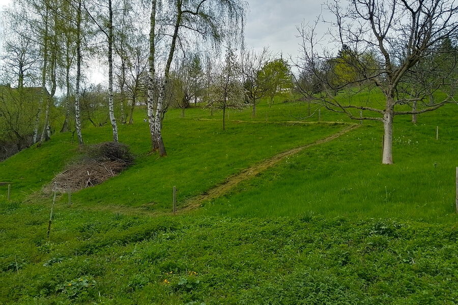 2023 Kennst du das? Naturgarten & Olivenöl